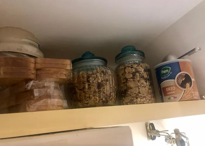 Le Palme * 볼로냐