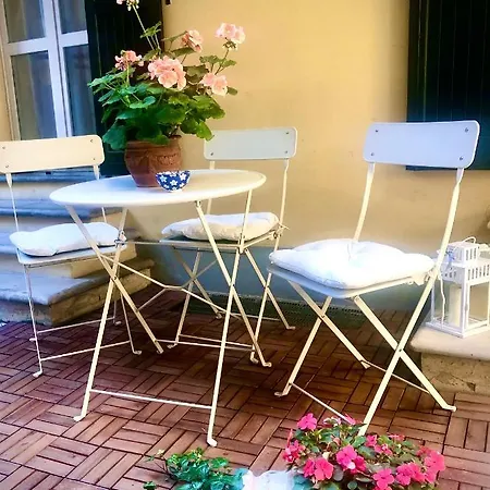 Le Palme Bologne