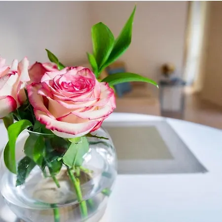 Le Palme アパート ボローニャ