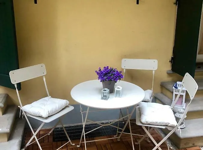 Le Palme Boloňa